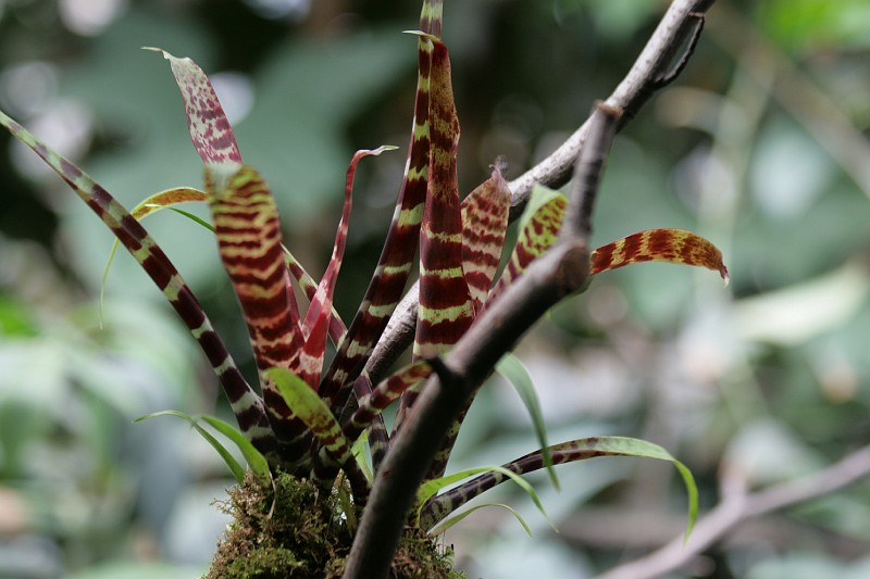 Fotoclubje Blijdorp 2008-80.jpg